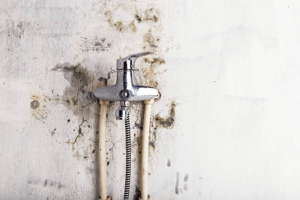 Best HVAC Mold Remediation in Bethany, OK