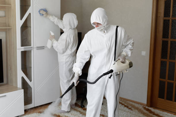 Best Post-Flood Mold Remediation in Bethany, OK
