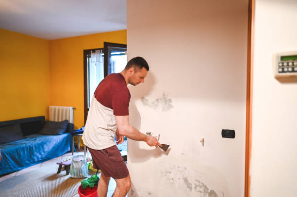 Best Mold Remediation for Specific Building Types in Bethany, OK