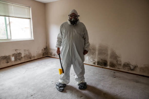Best Residential Mold Remediation in Bethany, OK